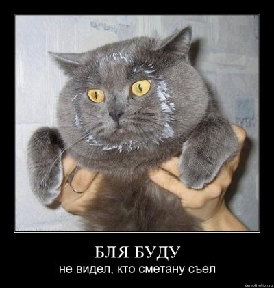 Можно ли кошкам есть мясо лося