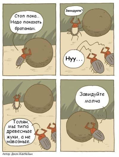 Иллюстрация к комментарию