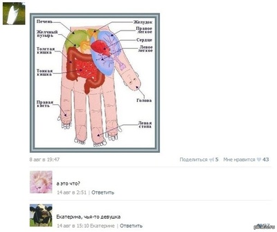 ����������� � �����������