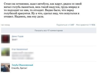 Иллюстрация к комментарию