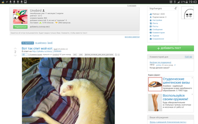 ����������� � �����������