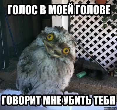 Иллюстрация к комментарию