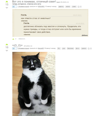 ����������� � �����������