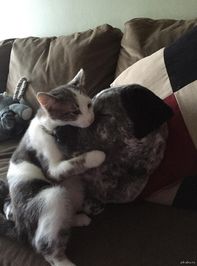 Иллюстрация к комментарию