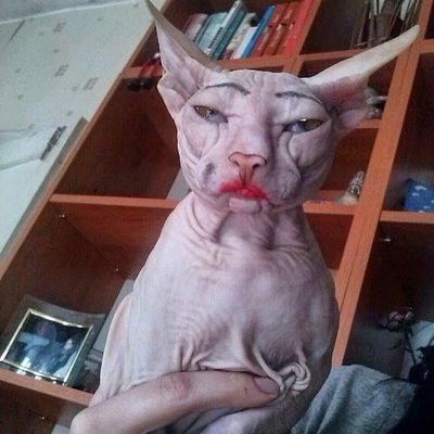Иллюстрация к комментарию