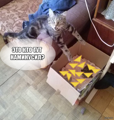 Иллюстрация к комментарию