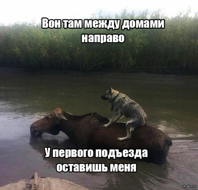 Между там. Вон там выходные.