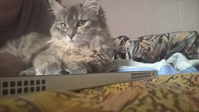 Иллюстрация к комментарию