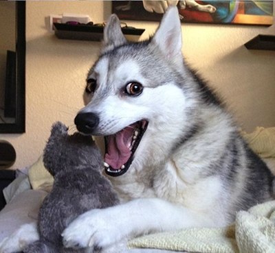 Иллюстрация к комментарию