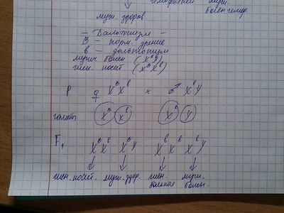Иллюстрация к комментарию