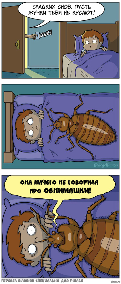 Если клопы замучили Если клопы замучили