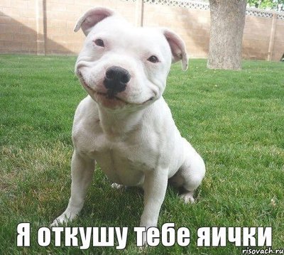 лукашенко у меня собачья доля. Смотреть фото лукашенко у меня собачья доля. Смотреть картинку лукашенко у меня собачья доля. Картинка про лукашенко у меня собачья доля. Фото лукашенко у меня собачья доля лукашенко у меня собачья доля. Смотреть фото лукашенко у меня собачья доля. Смотреть картинку лукашенко у меня собачья доля. Картинка про лукашенко у меня собачья доля. Фото лукашенко у меня собачья доля