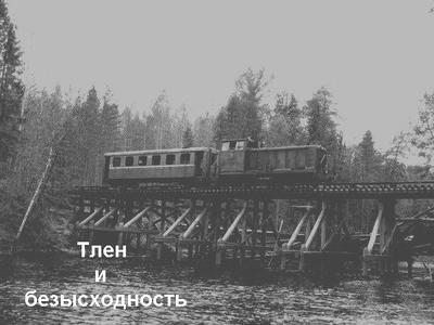 Глухая деревня это что. 1464344379112477166. Глухая деревня это что фото. Глухая деревня это что-1464344379112477166. картинка Глухая деревня это что. картинка 1464344379112477166. Мы часто не задумываемся над значением и взаимными связями употребляемых нами слов.
