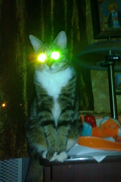 Иллюстрация к комментарию