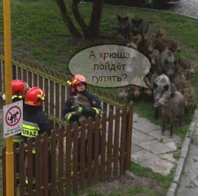 Что орешь в заборе застряла. Смотреть фото Что орешь в заборе застряла. Смотреть картинку Что орешь в заборе застряла. Картинка про Что орешь в заборе застряла. Фото Что орешь в заборе застряла