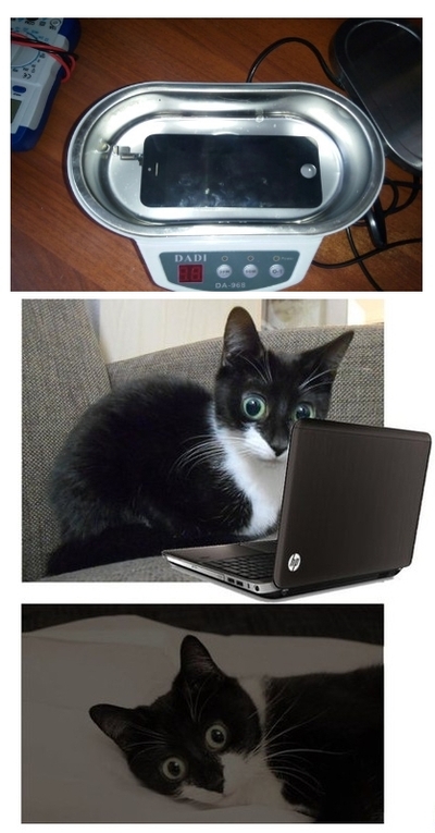 ����������� � �����������