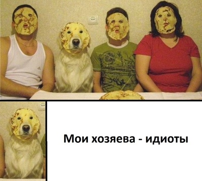 человек с блином на лице. Смотреть фото человек с блином на лице. Смотреть картинку человек с блином на лице. Картинка про человек с блином на лице. Фото человек с блином на лице