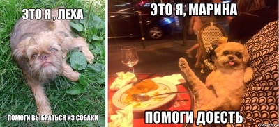 ����������� � �����������