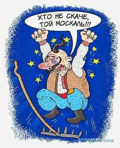 1471051069194336429 На граблях как на батуте