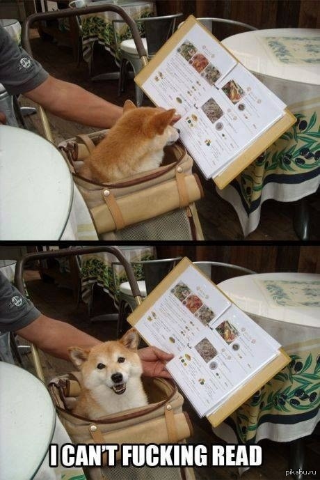    *   .