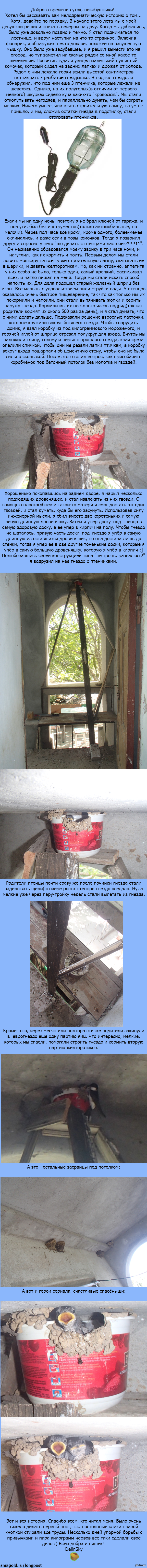 ��� � ������ ���������,  ���  � � ���� - �������!