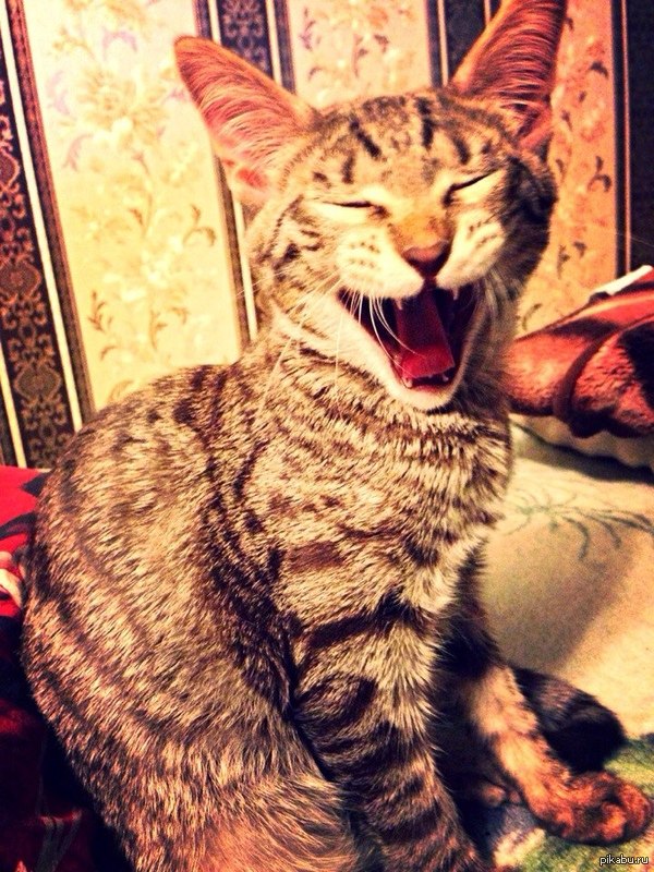 ������ ������ � ����� ������, �� ����� )))