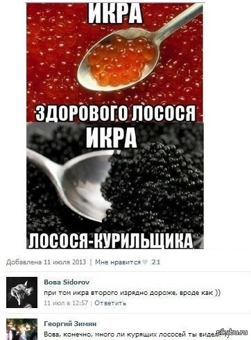 Курящий лосось.