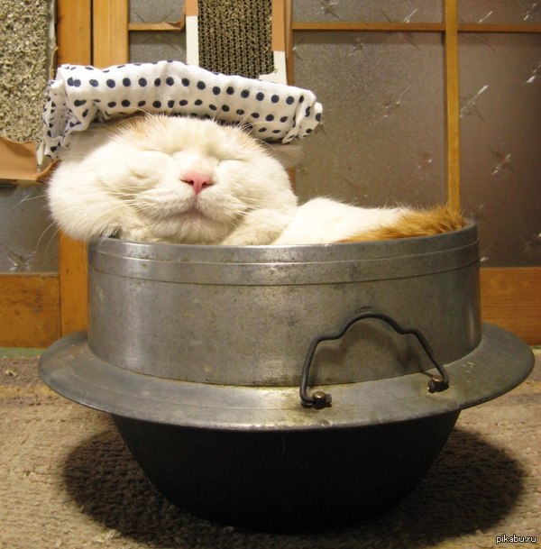 ���������)