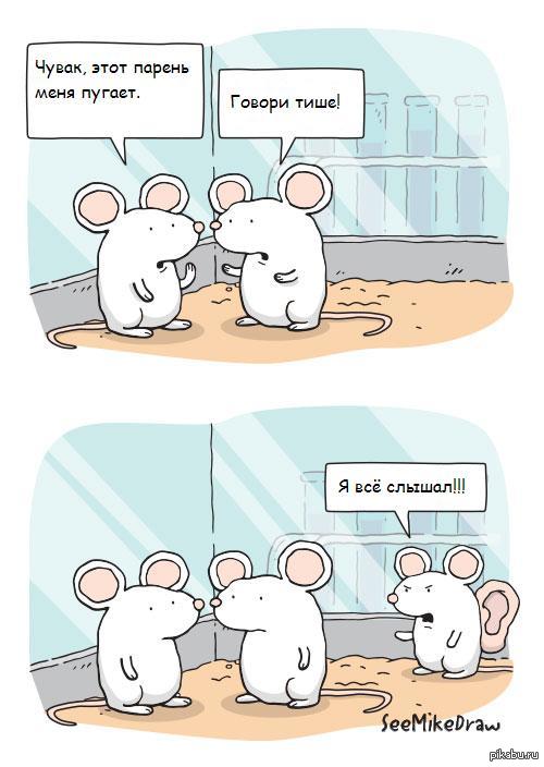 Мем с мышкой с большими глазами. Мышь юмор. Лабораторная крыса комикс. Шутки про мышку. Мышь прикол.