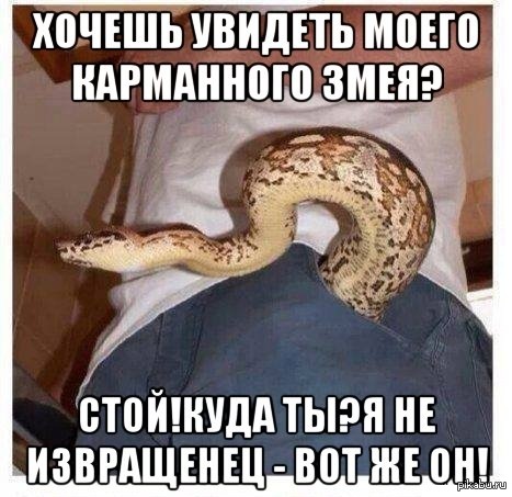 Мужчина Змея В Сексе Мужчина Змея В Сексе