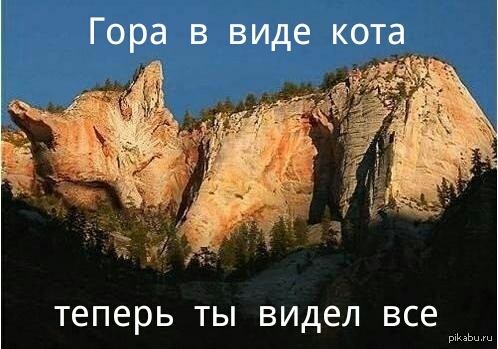 ���� � ���� ����