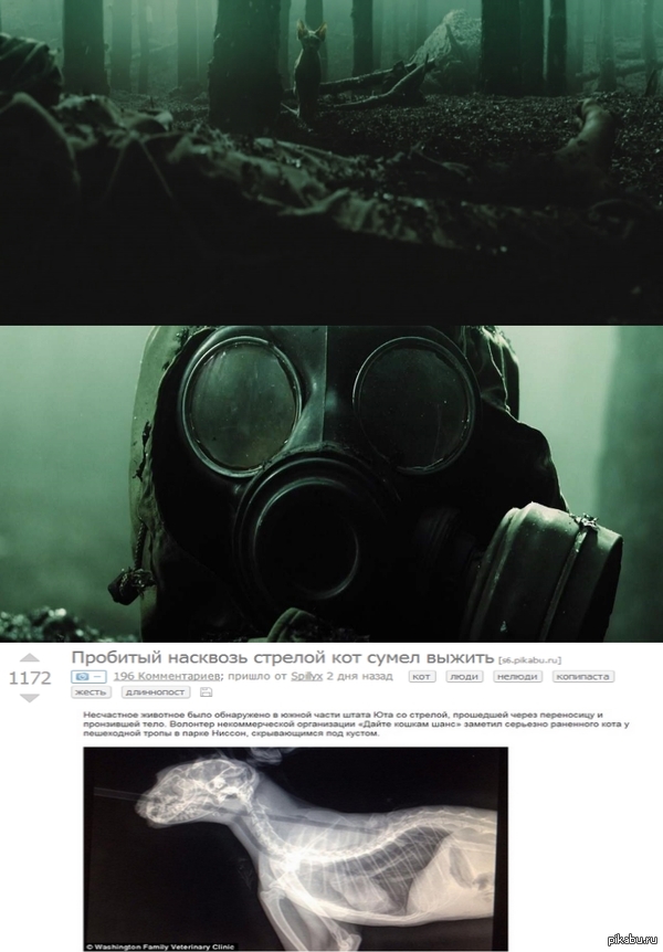 Как все было