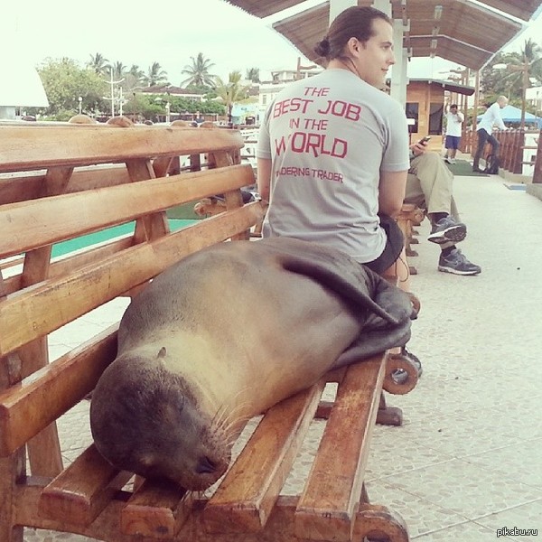 Эй чувак?! Тут занято...