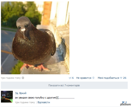 �������� ������ 8(