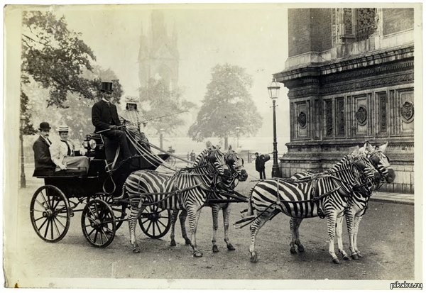   1898 .      .        ,  