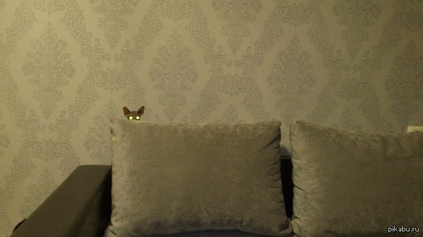 ���� �� �������