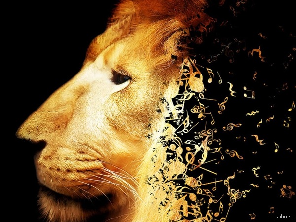 ффывафывафыва