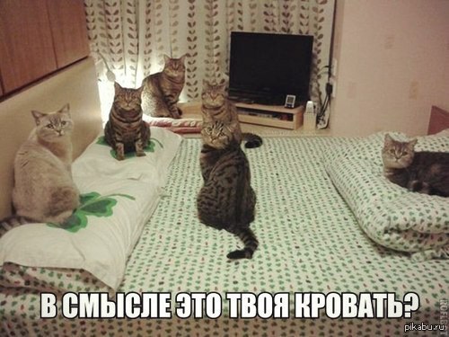 ���� ������, ����� �������!^^)