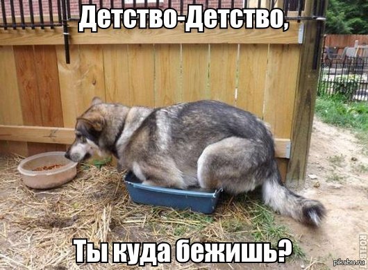 �������-�������, �� ���� ������?