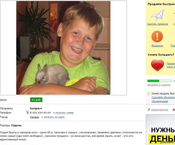 ������ �����