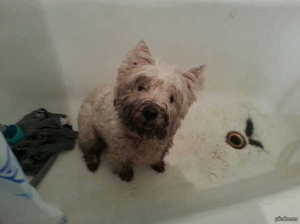 � ��� ������ ����...