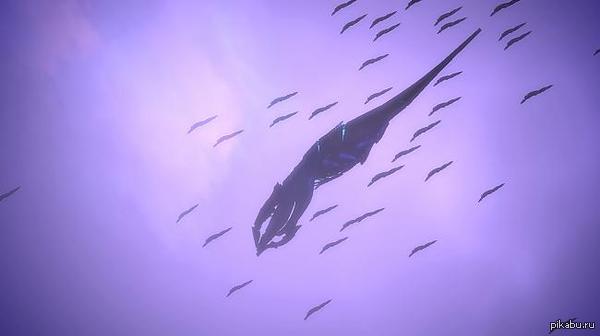 Новости с передовой