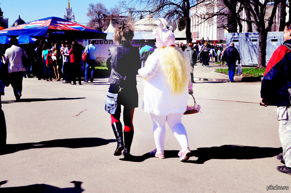 ������  ������ ��������.