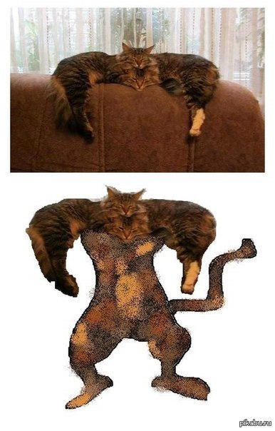 BIG BAD CAT