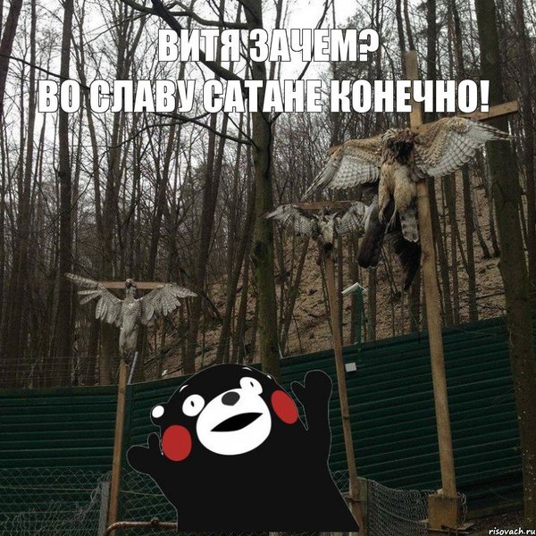 Свобода! Как в лучших домах европы.