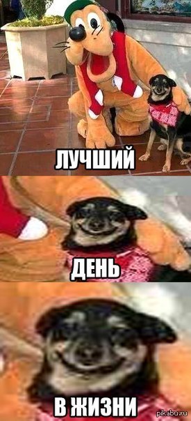 Мечты сбываются.