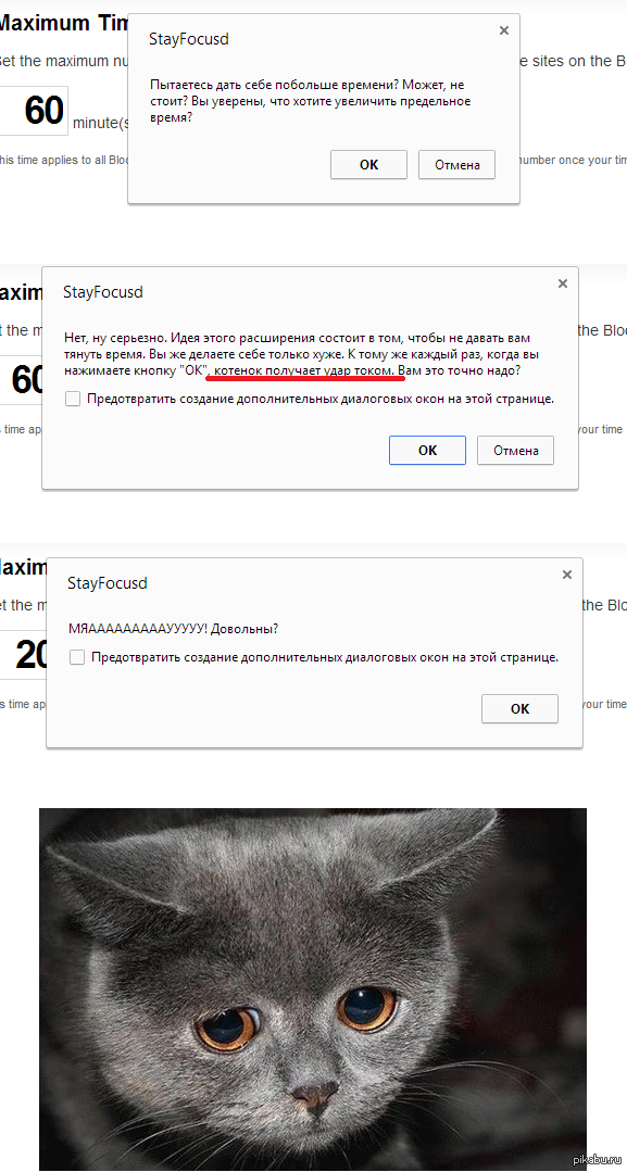 Котик пострадал ='(