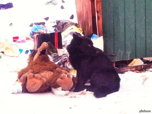 ���� ����.