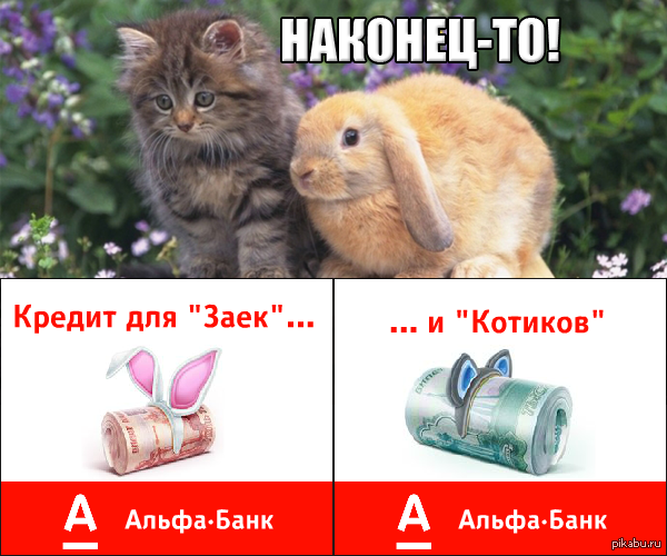 Котик зайчик автостопом по фазе