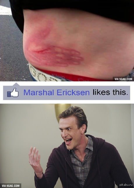 Маршалл Эриксен одобряет